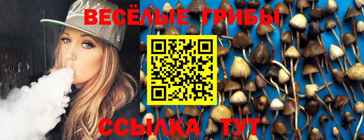 Сорочинск  Галлюциногенные грибы мицелий  закладки  Вход с VPN 